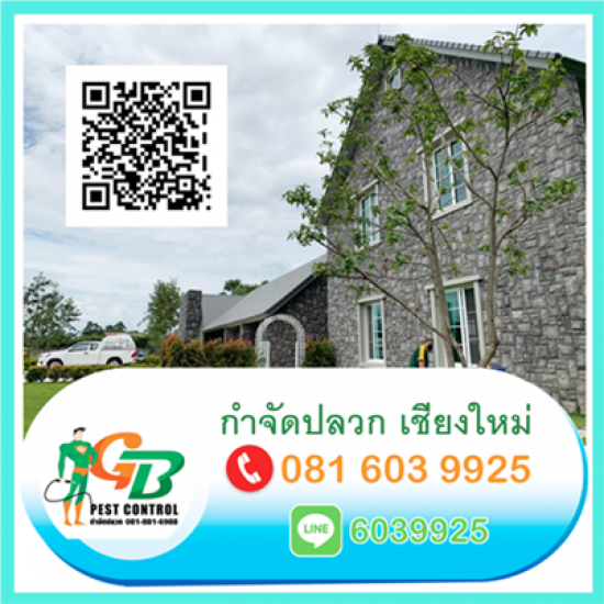 รับฉีดปลวกราคาถูก เชียงใหม่ รับฉีดปลวก ราคาถูก 