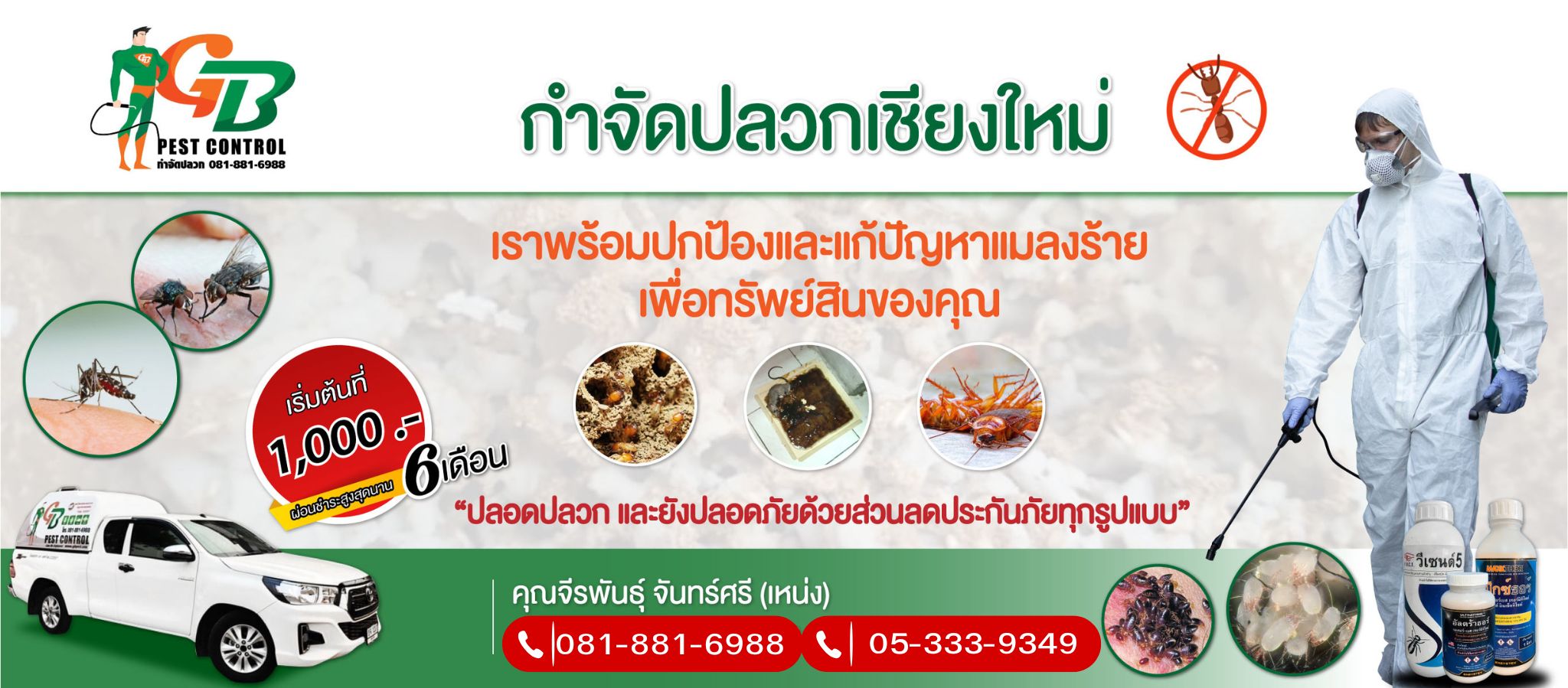 กำจัดปลวกจีบีเพสท์เชียงใหม่