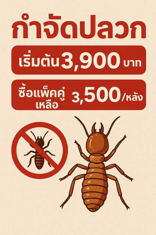 Image - 2025-11-05T093559.271 Image - 2025-11-05T093559.271